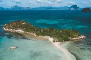 5 Fakta Mengerikan Pulau Ular, Pulau Terlarang dan Paling Berbahaya di Dunia!