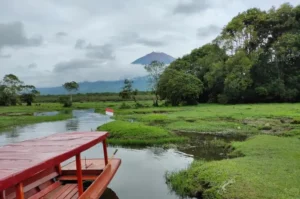 7 Fakta Menarik Jambi, Dari Kerajaan Sriwijaya hingga Candi Muaro Jambi