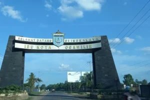 Fakta Menarik Ogan Ilir, Daerah Penghasil Nanas yang Mendunia