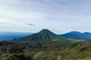 7 Fakta Unik Banyuwangi, Dari Sejarah Kerajaan Blambangan hingga Mitos Sri Tanjung